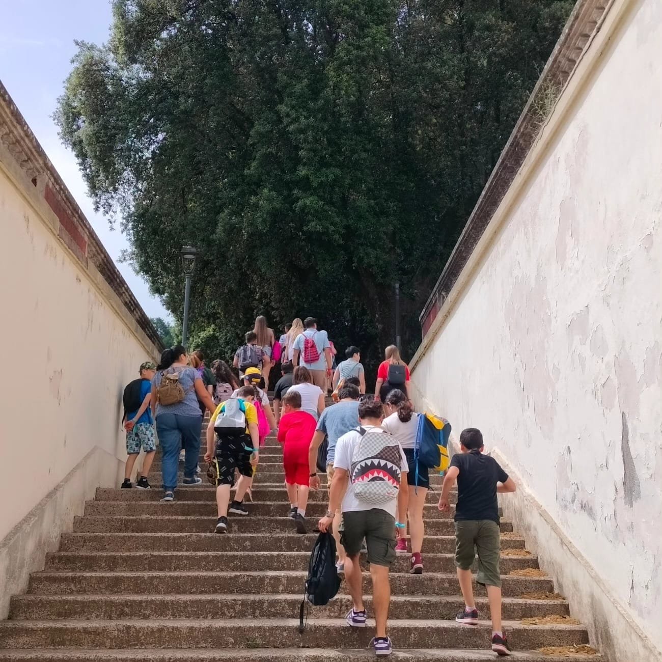 Un gruppo di ragazzi sale una scalinata durante un'uscita